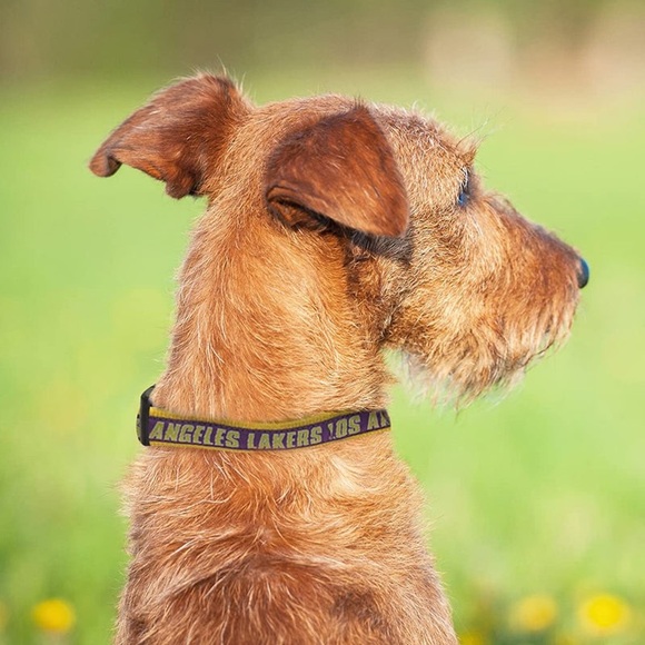 Pets First LA Lakers Dog Collar and Leash - Picture 10 of 14